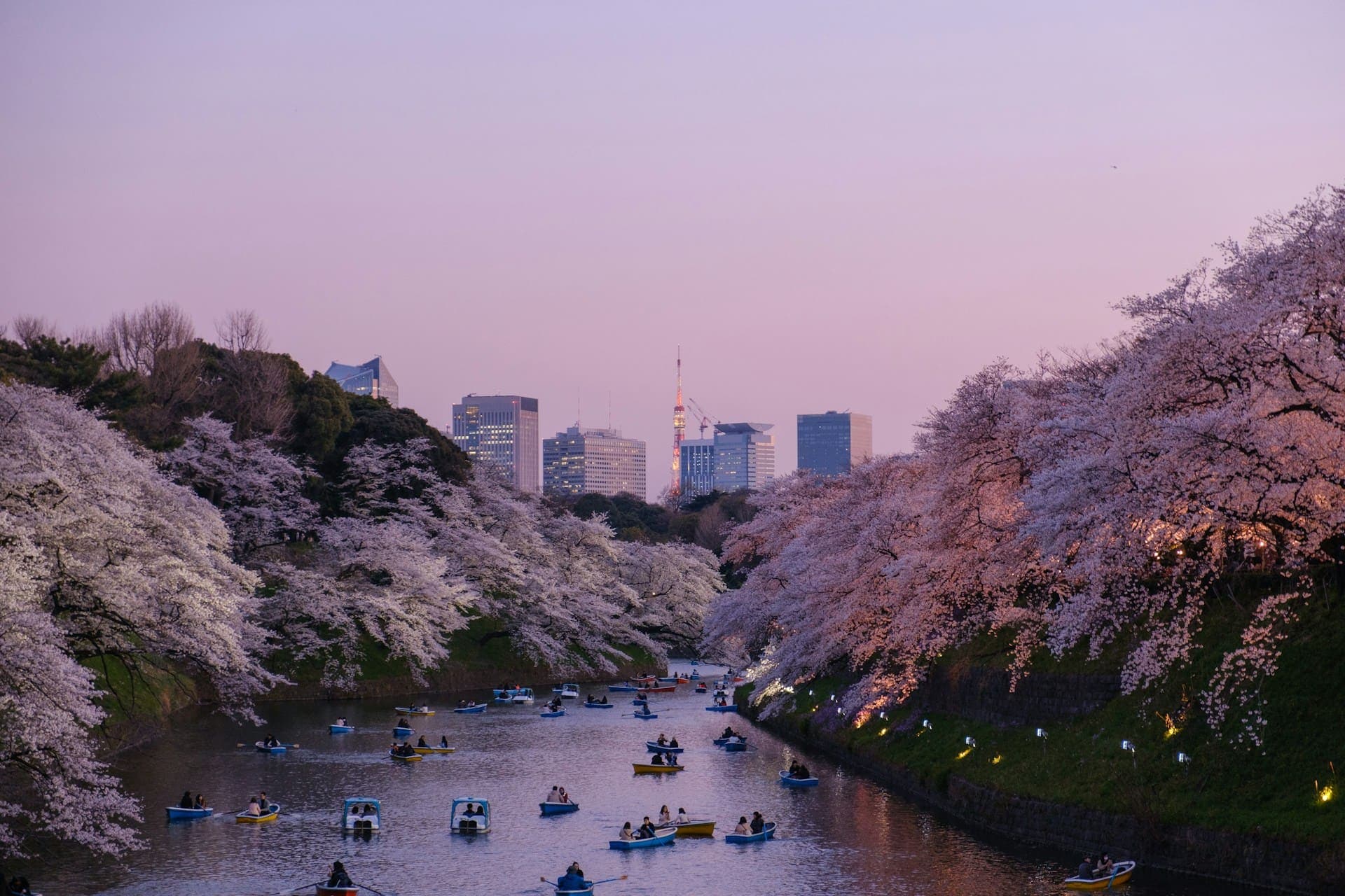 Image of tokyo